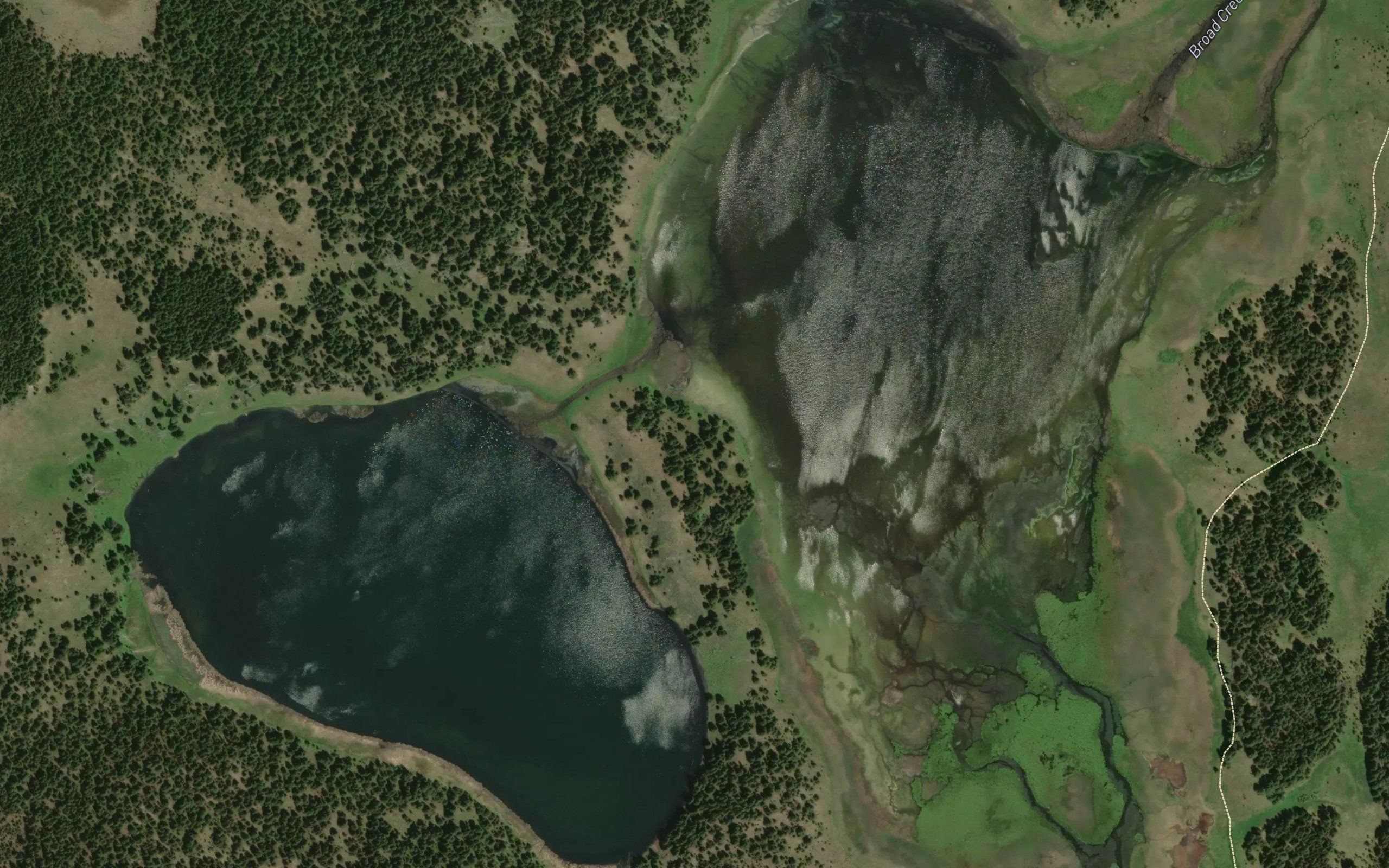 Tern Lake