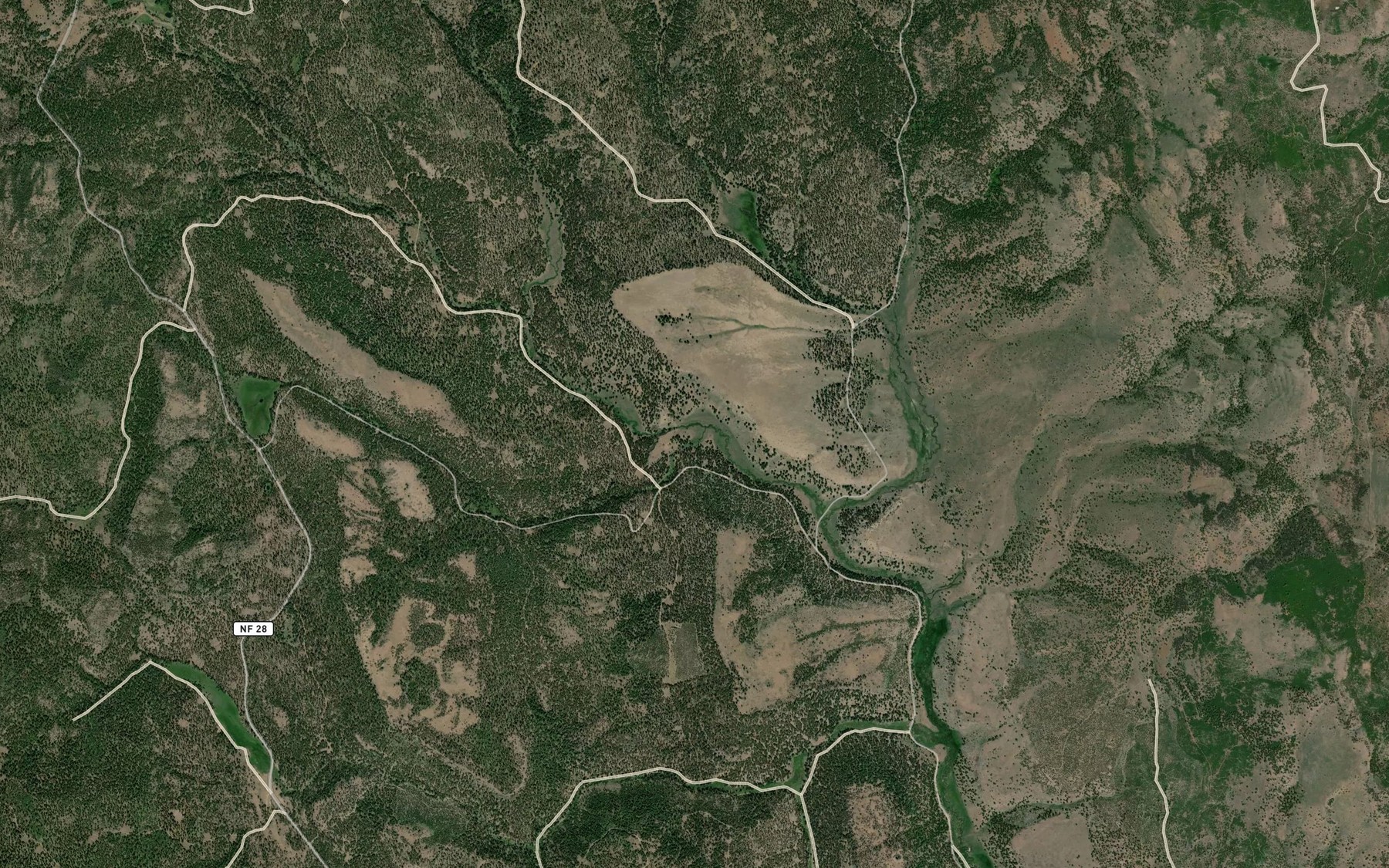 Satellite map of the Beaverdam Creek