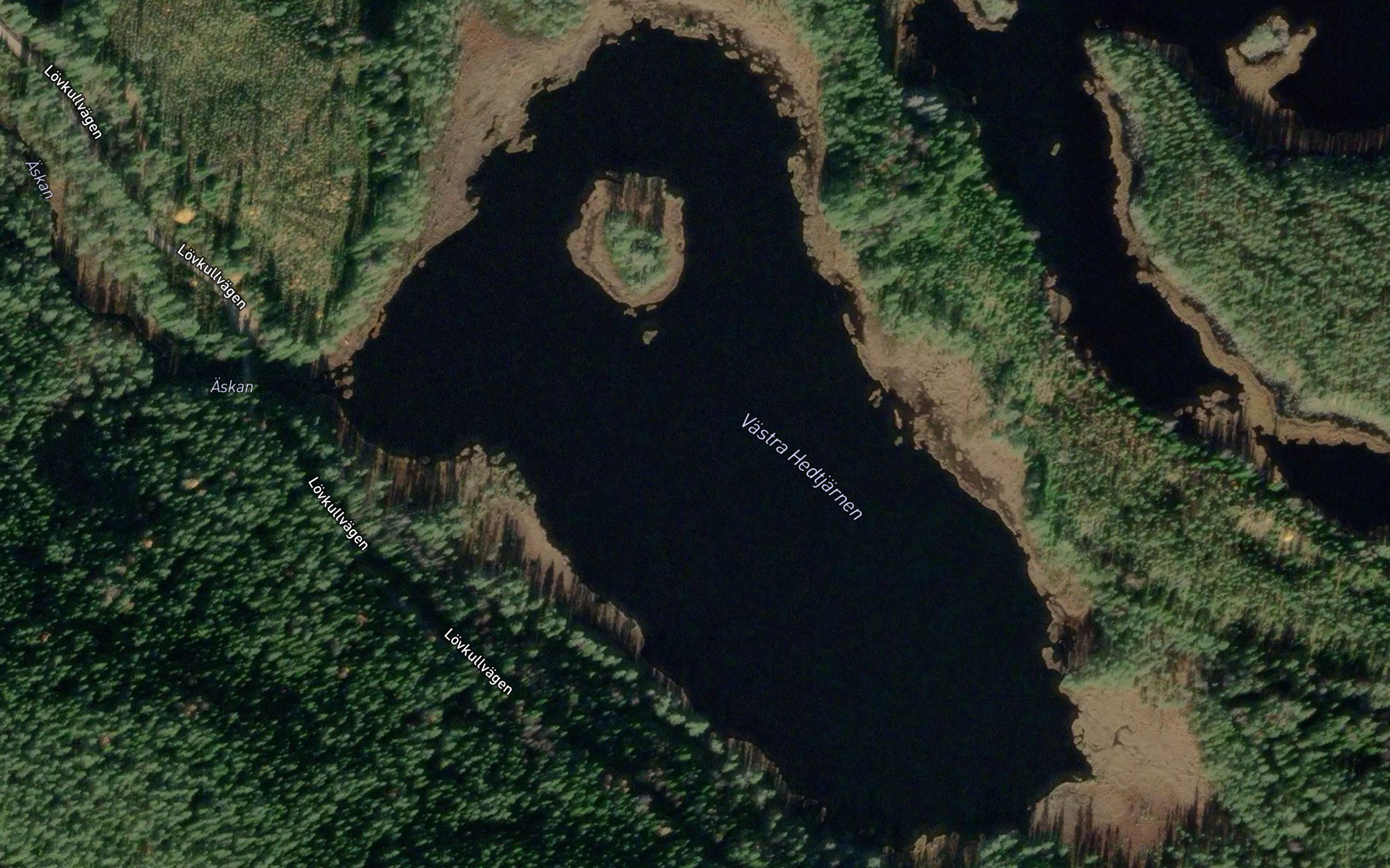 Asktjarnarna