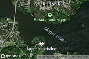 Magelungen