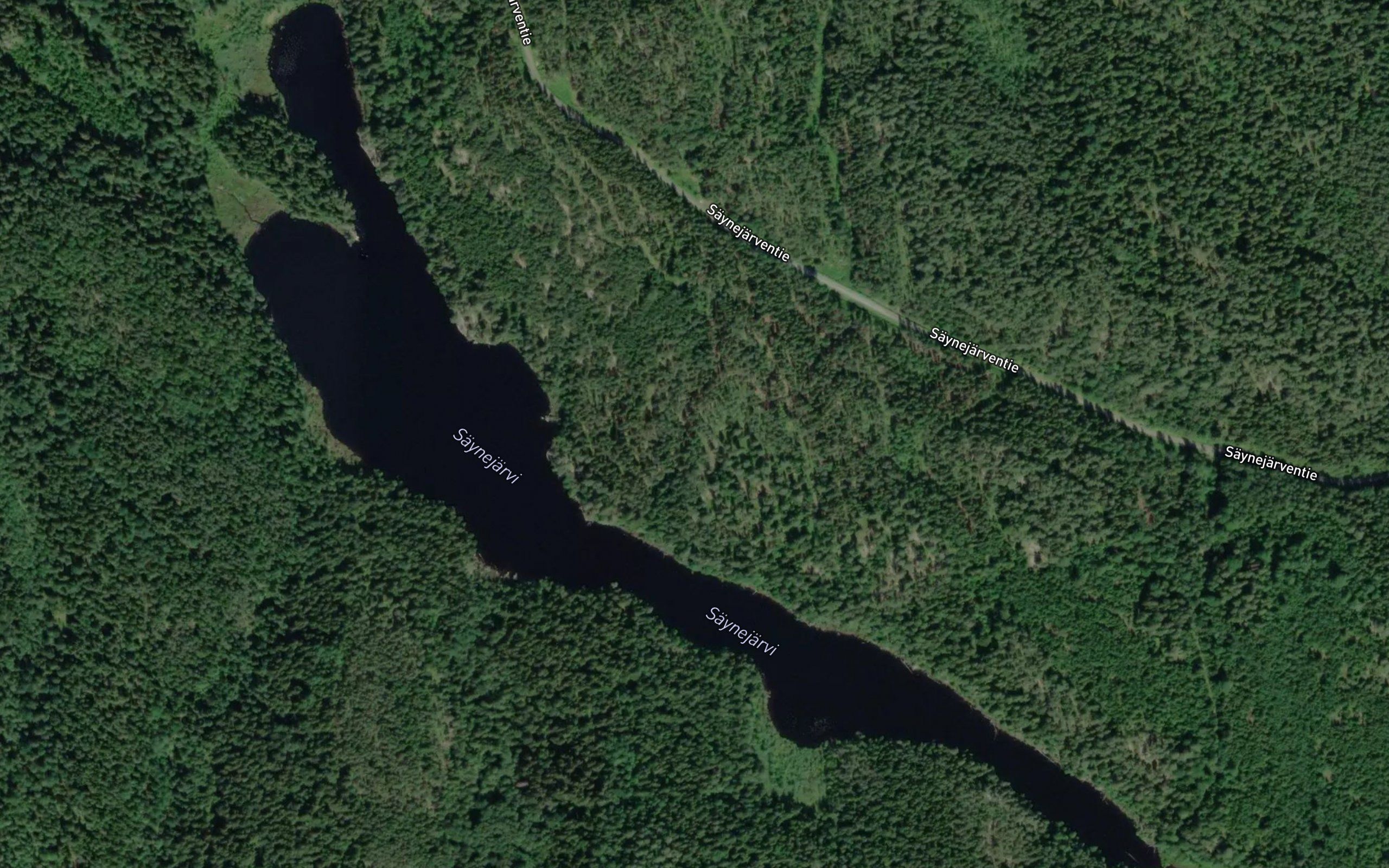 Saynejarvi