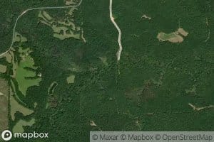 Mineral Springs Branch