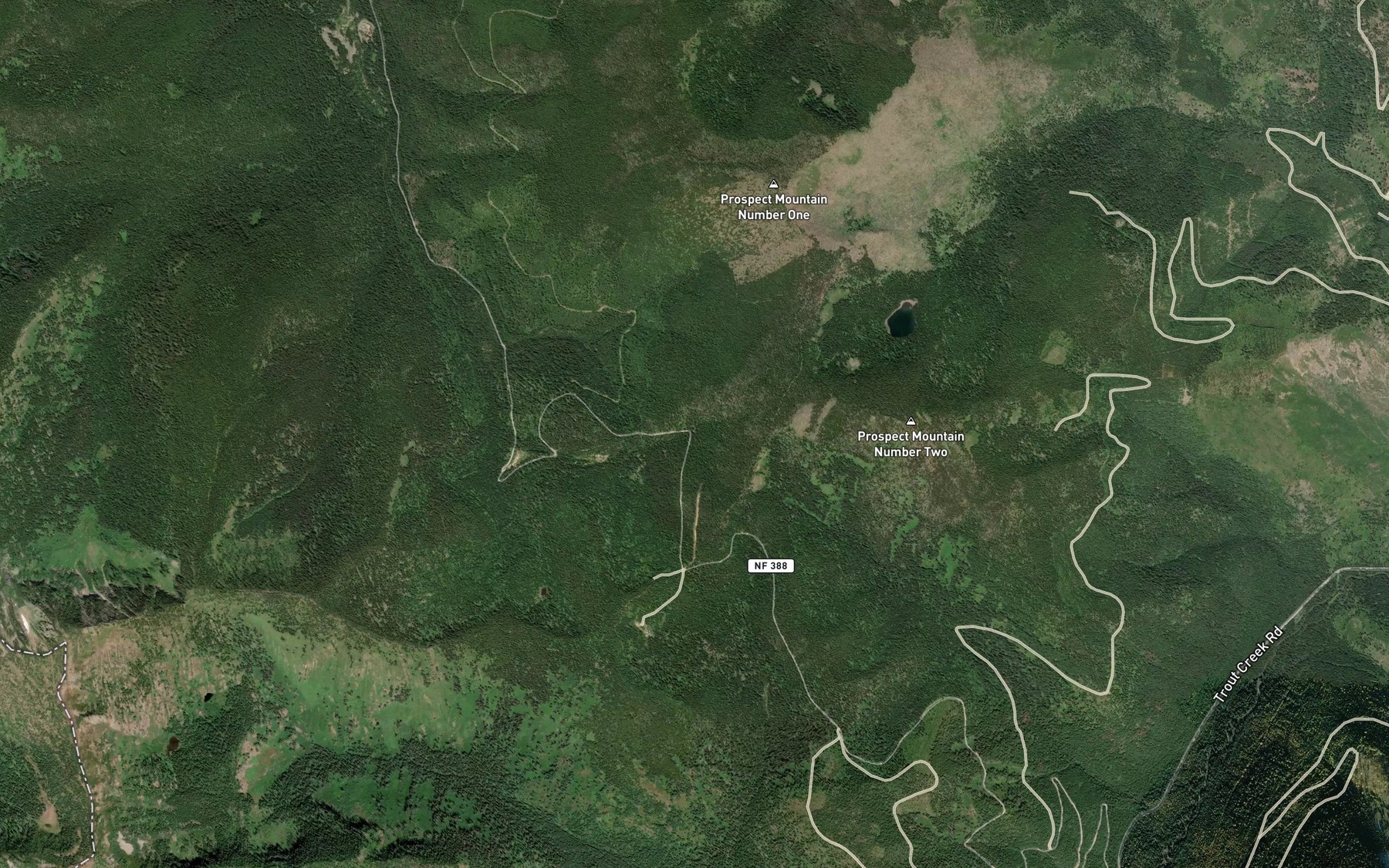Satellite map of the Snowshoe Spring