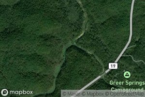 Greer Spring Branch