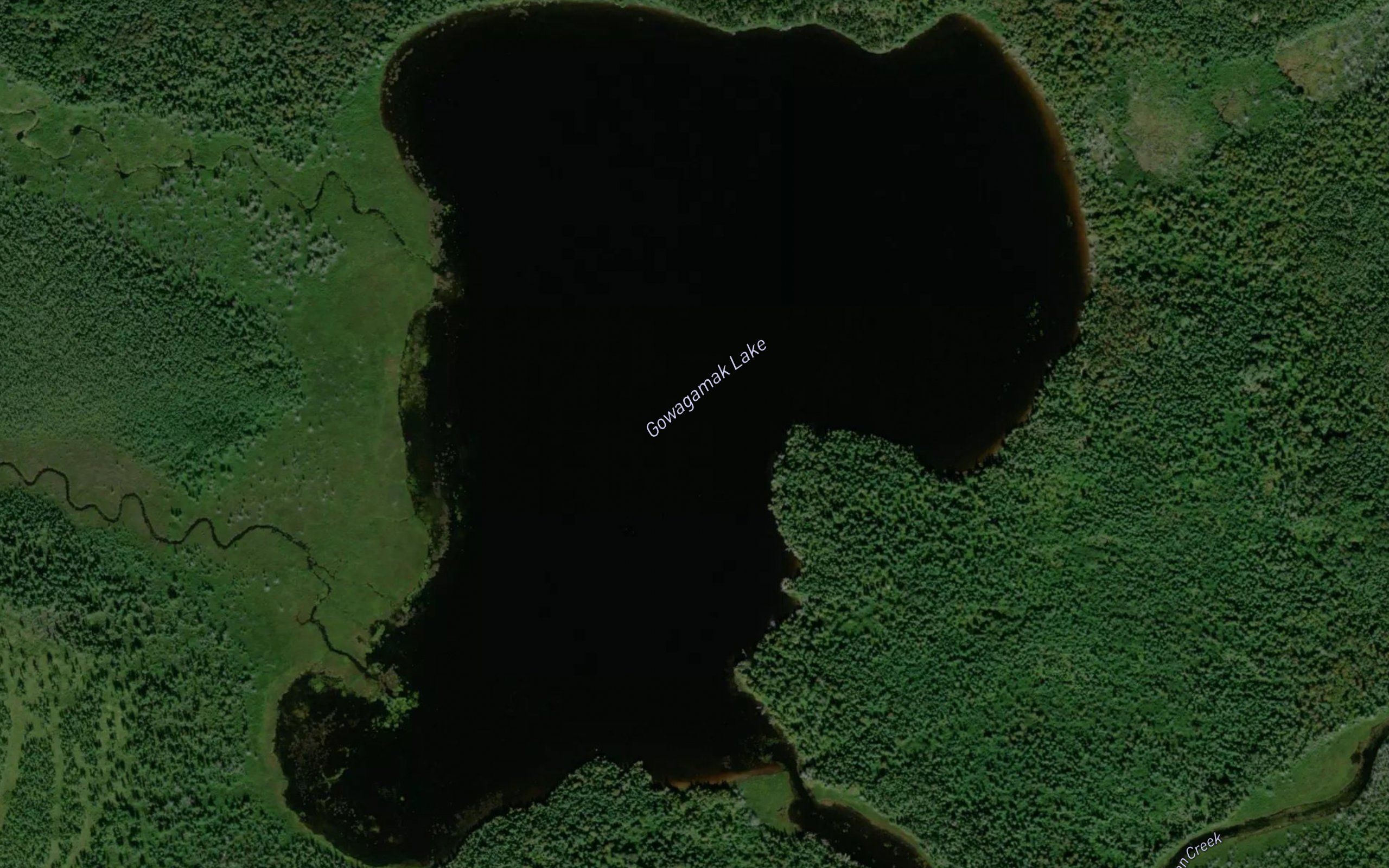 Gowagamak Lake