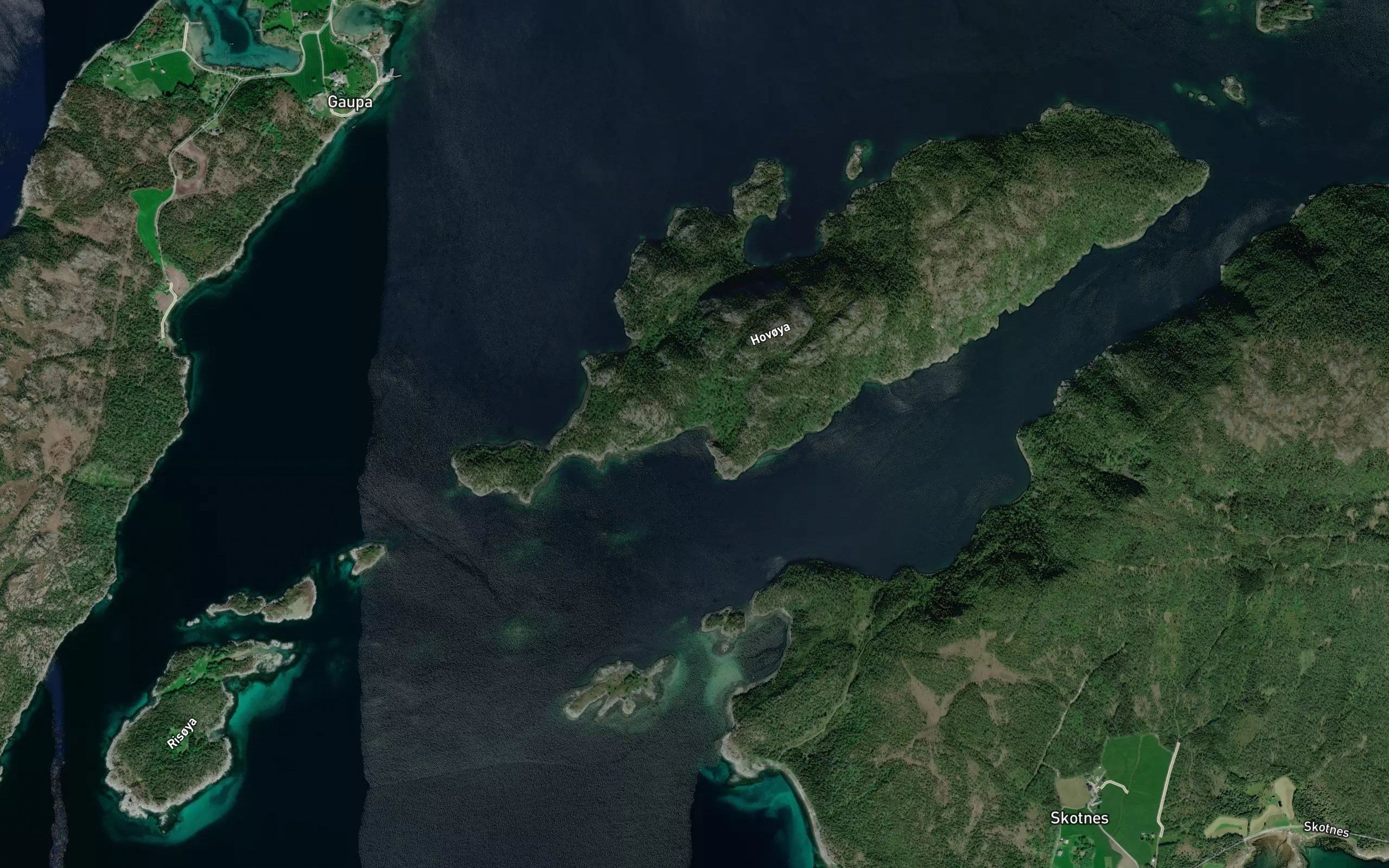 Hovoyvika