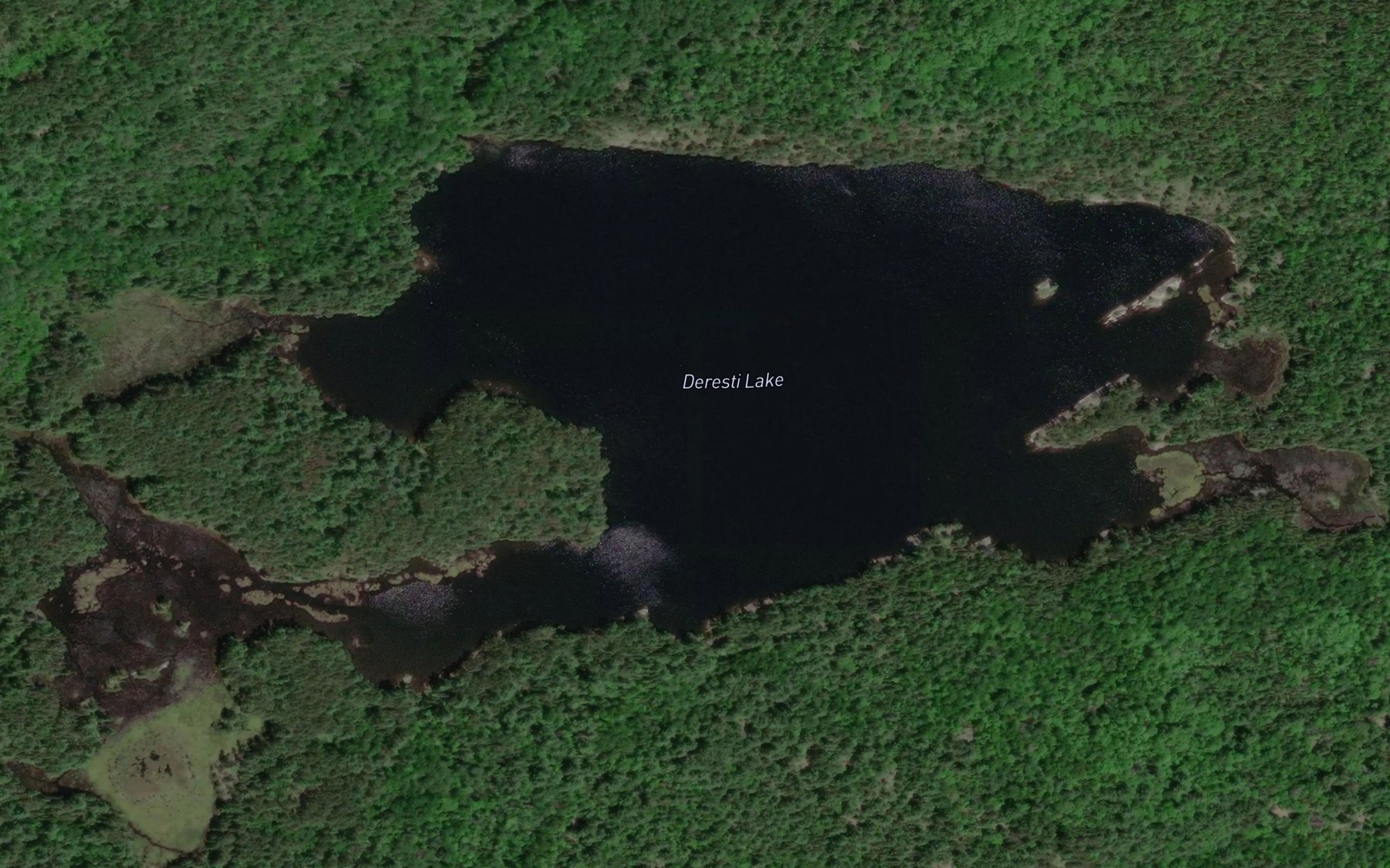 Satellite map of the Deresti Lake