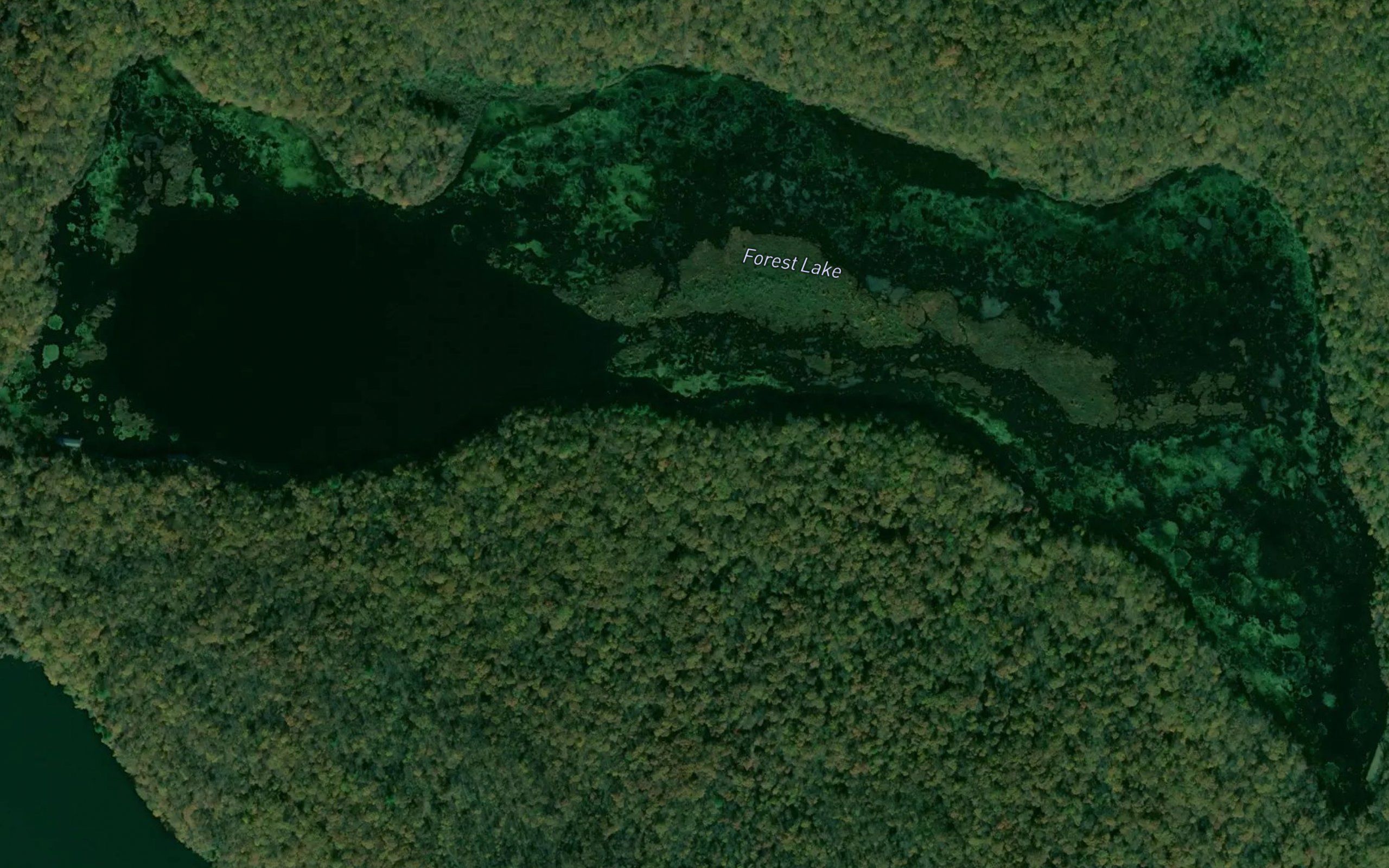 Forest Lake