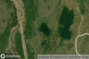 Tiger Lake