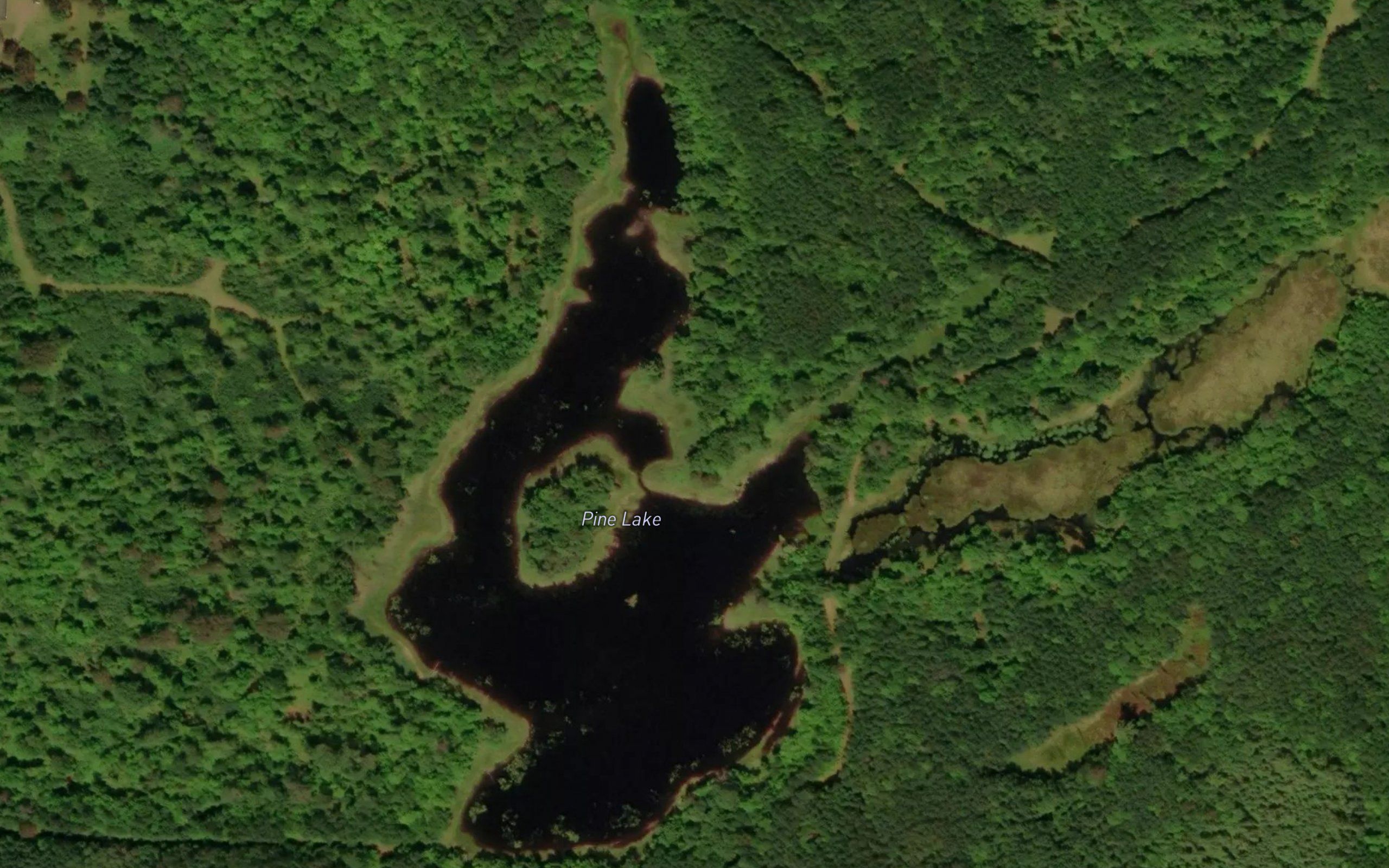 Pine Lake