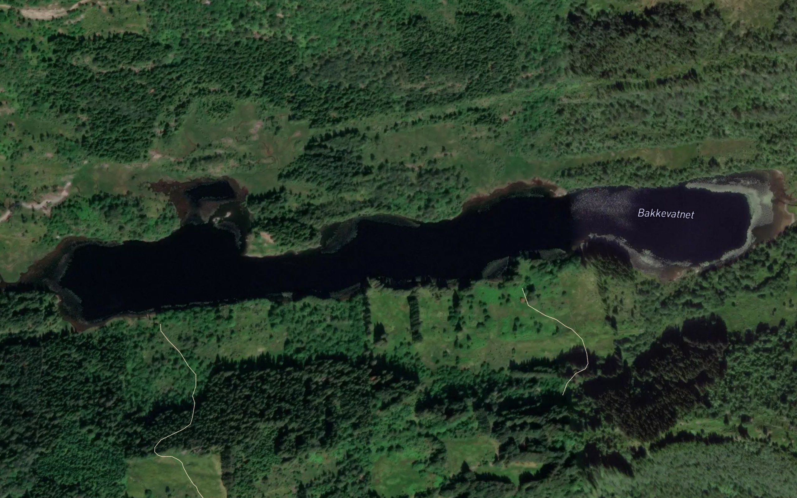 Bakkevatnet