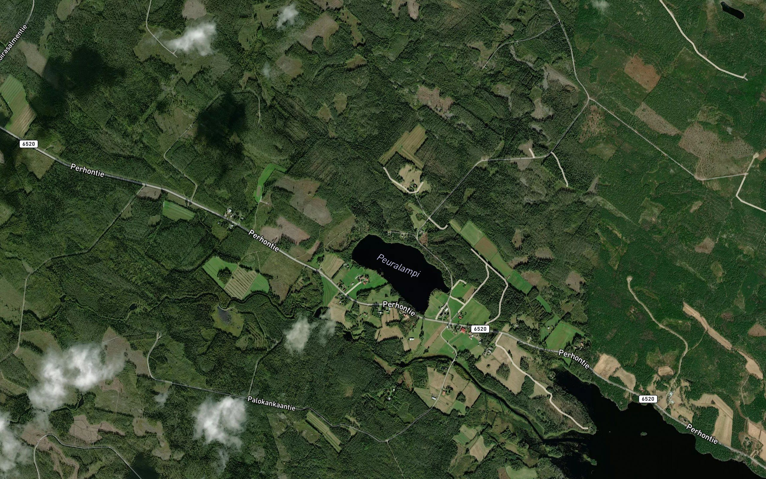 Kortepuro