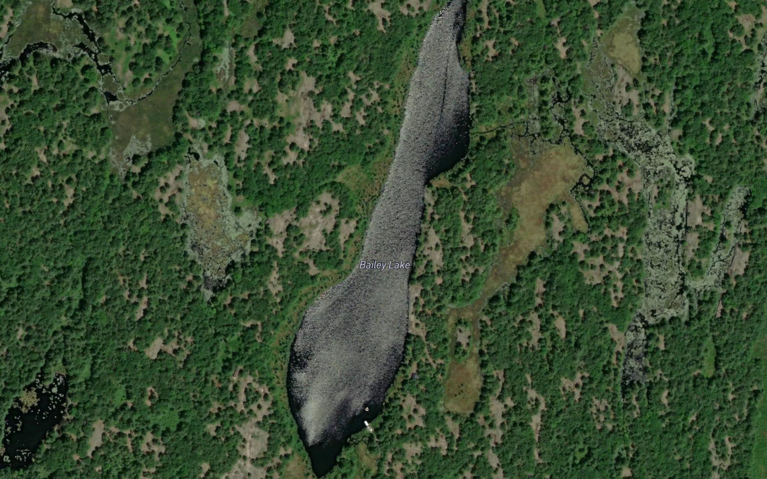 Bailey Lake