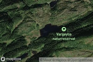 Vargoyvatnet