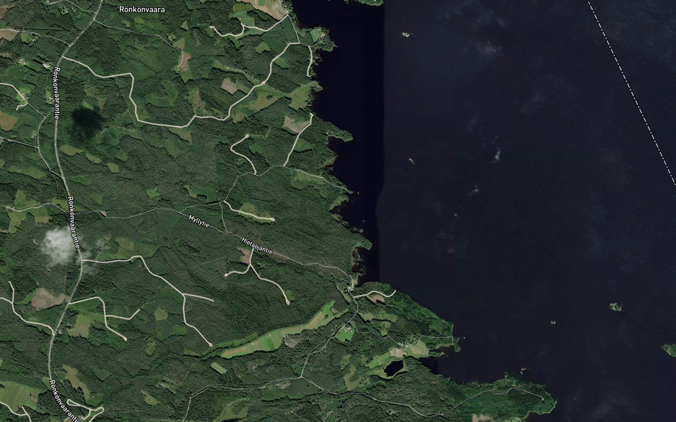 Palolahti