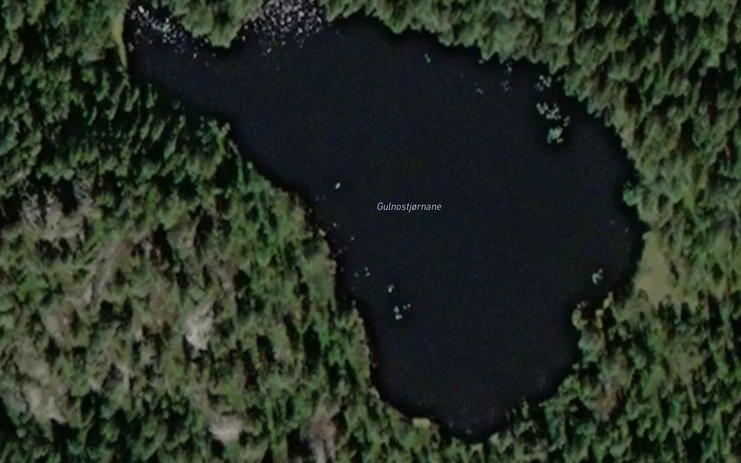 Store Gullnastjonn