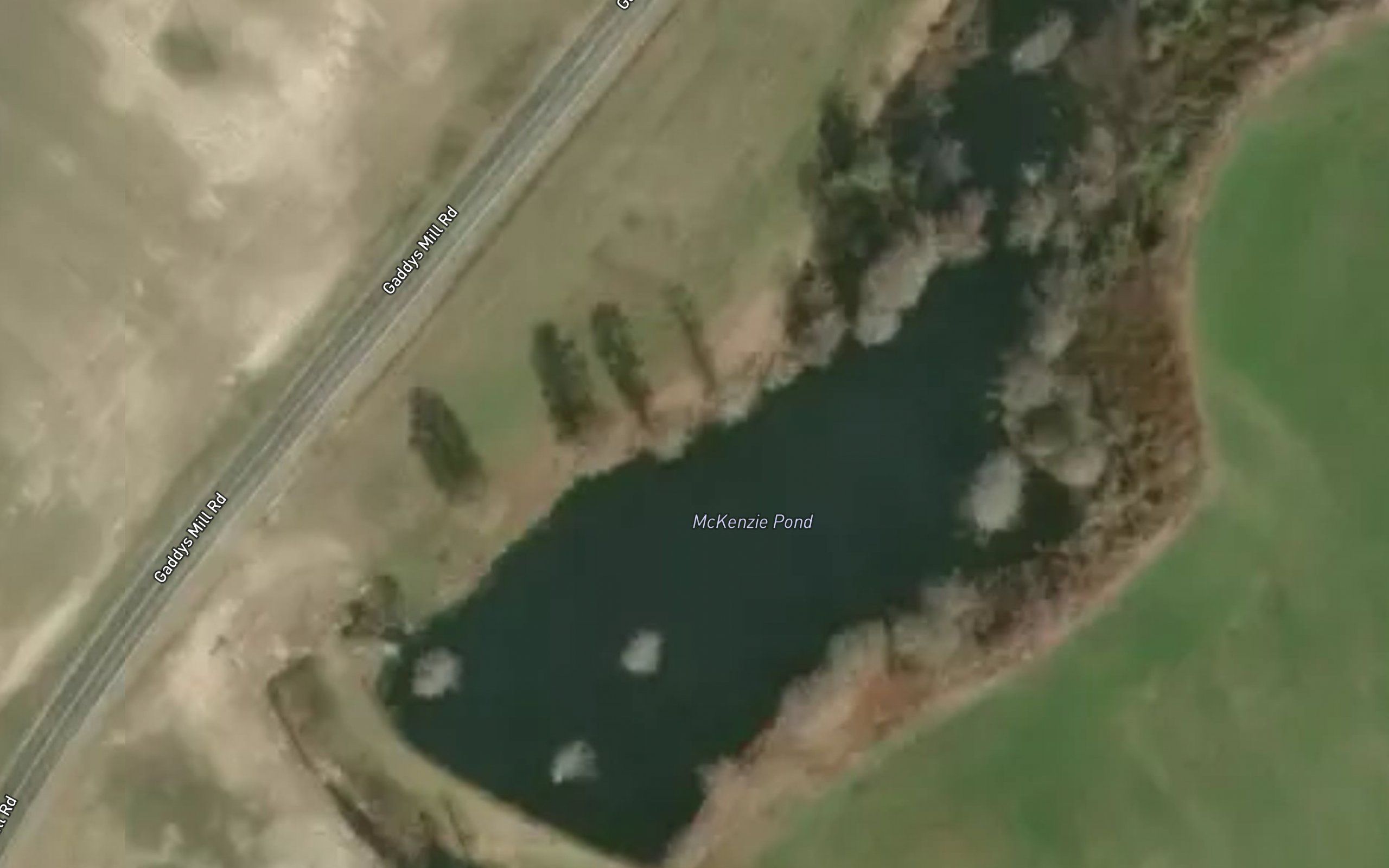 McKenzie Pond