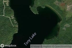 Tony Lake