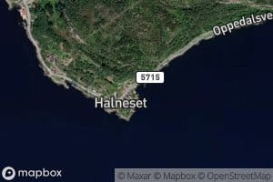 Halnesvika