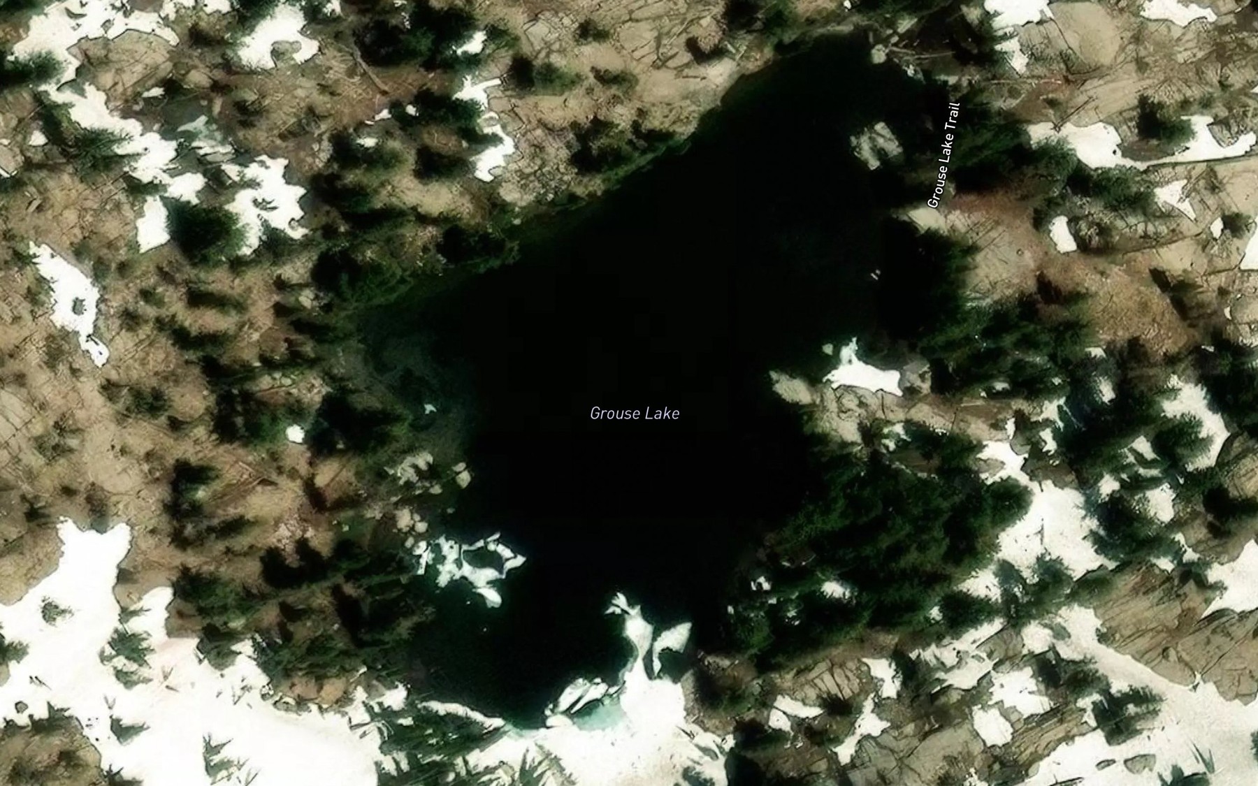 Satellite map of the Grouse Lake