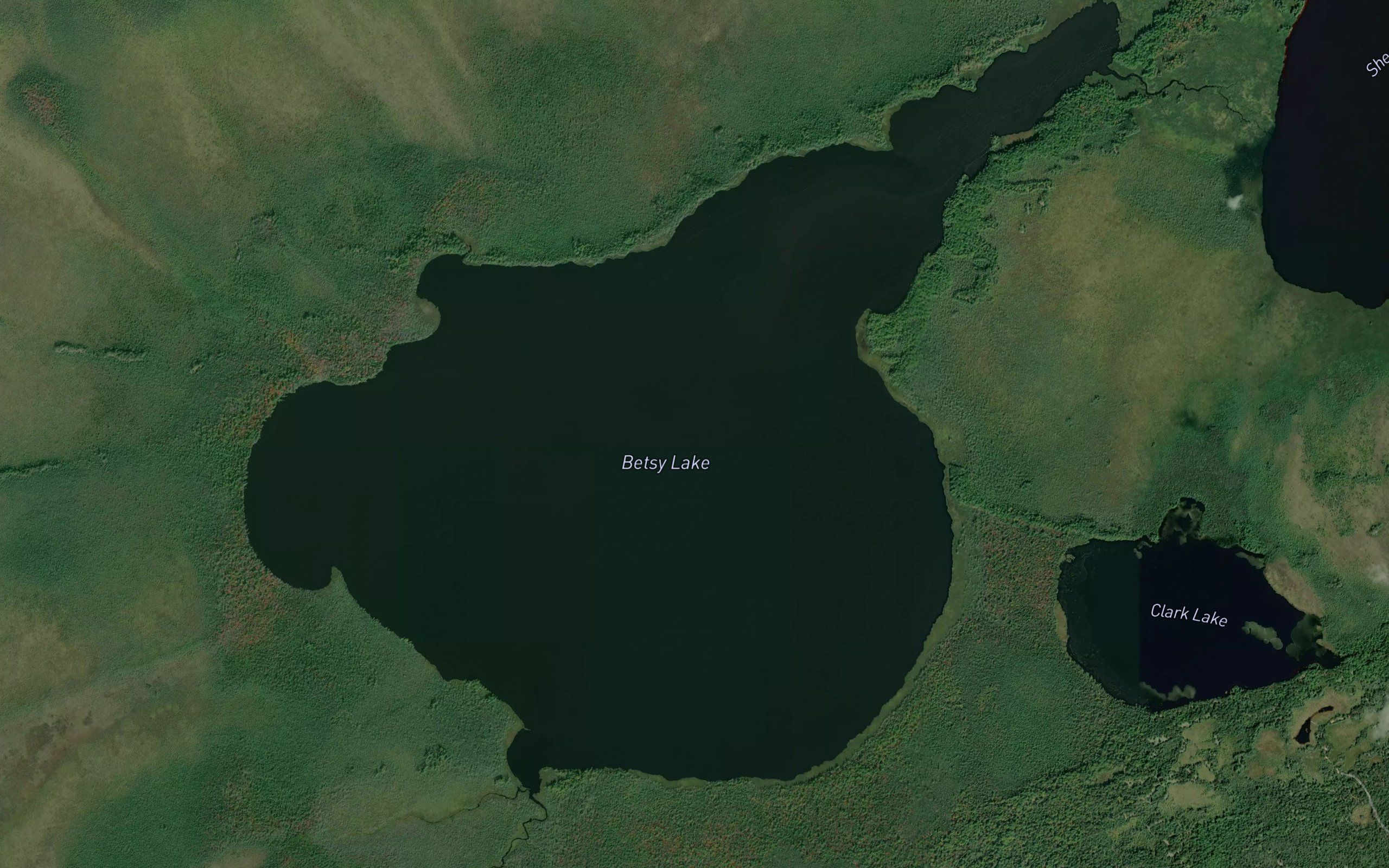 Betsy Lake