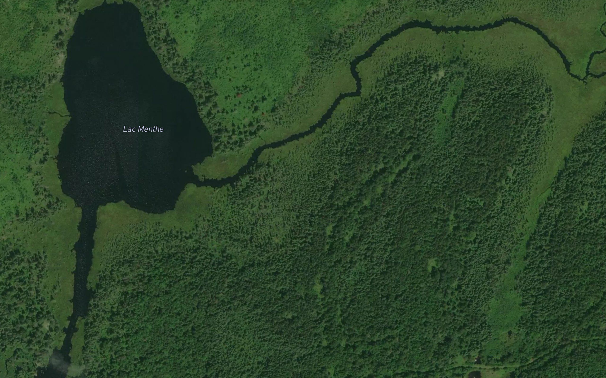 Lac Menthe