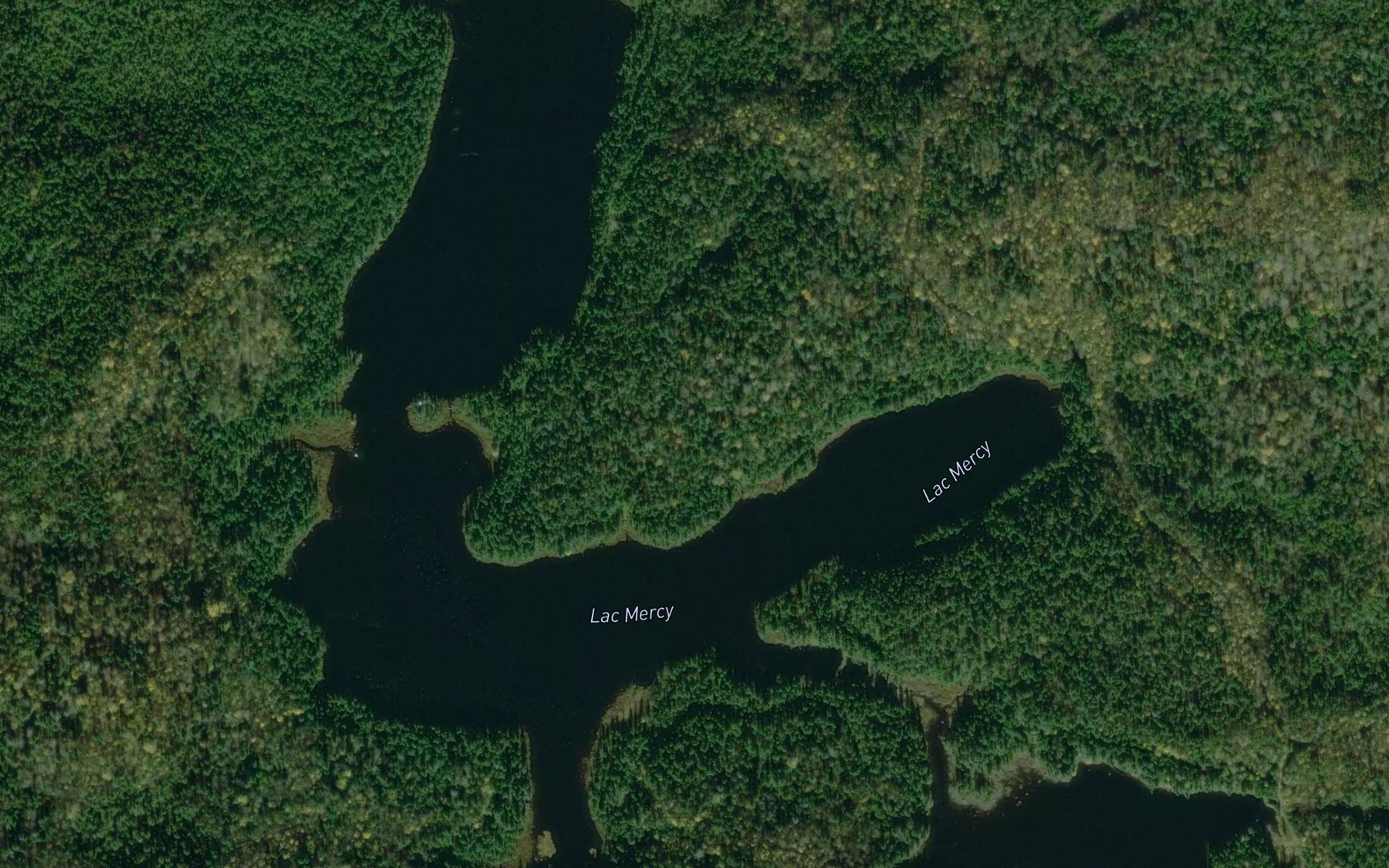 Satellite map of the Lac Mercy