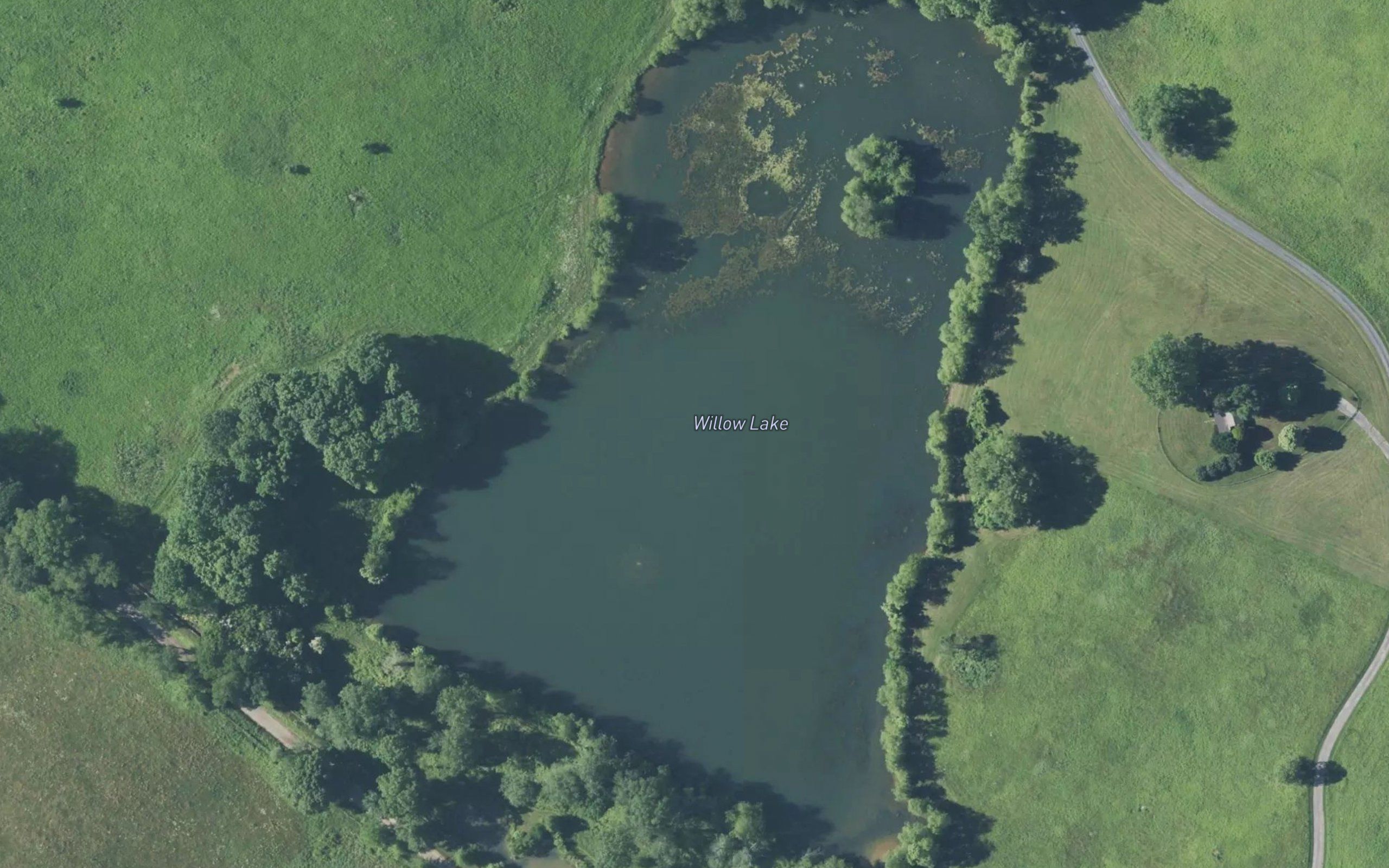 Willow Lake