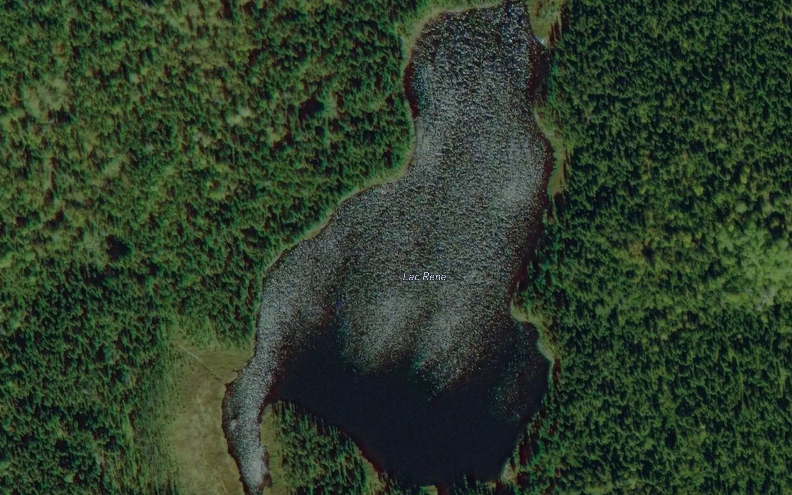 Lac Rene