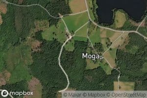 Mogasjon