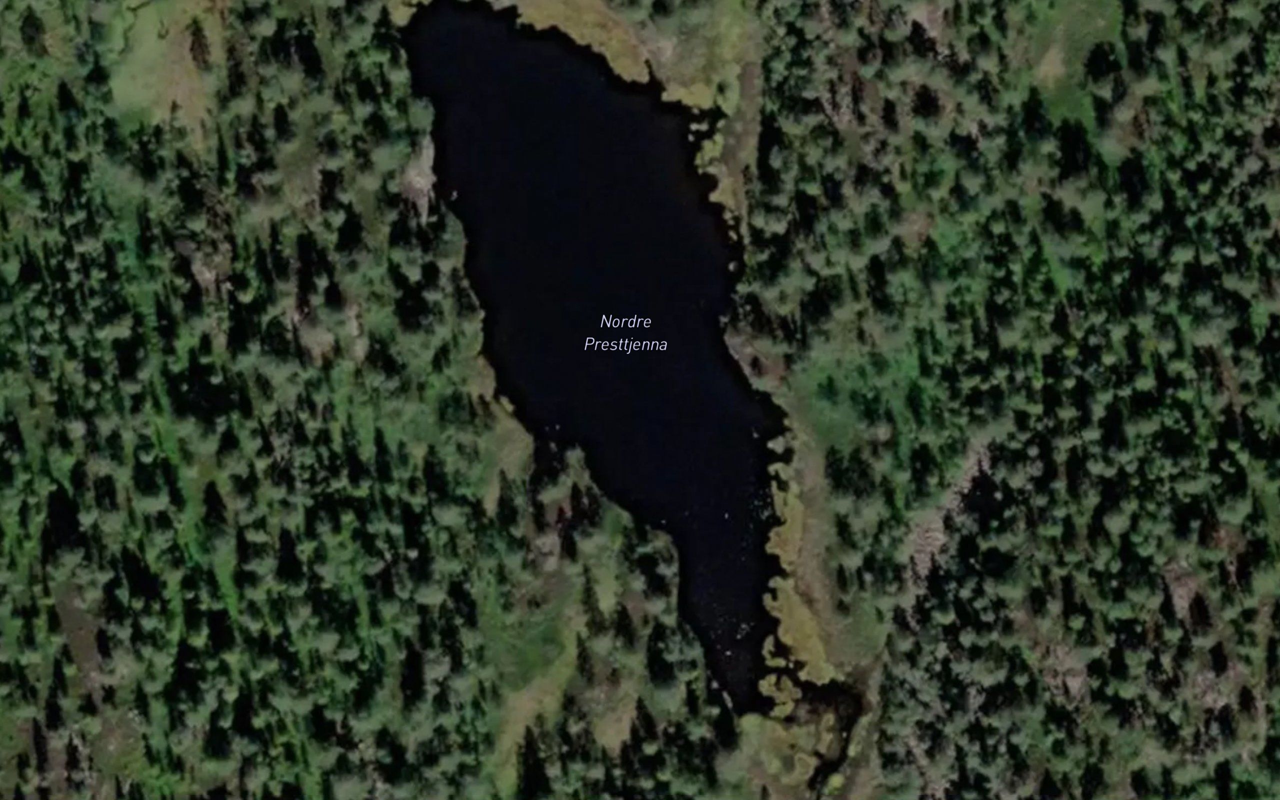 Presttjorn,nordre