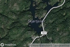 Skjortjernet