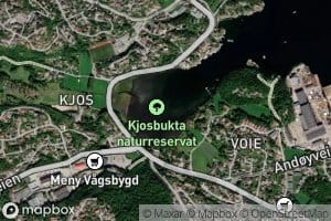 Kjosbukta