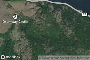 Nestor Creek