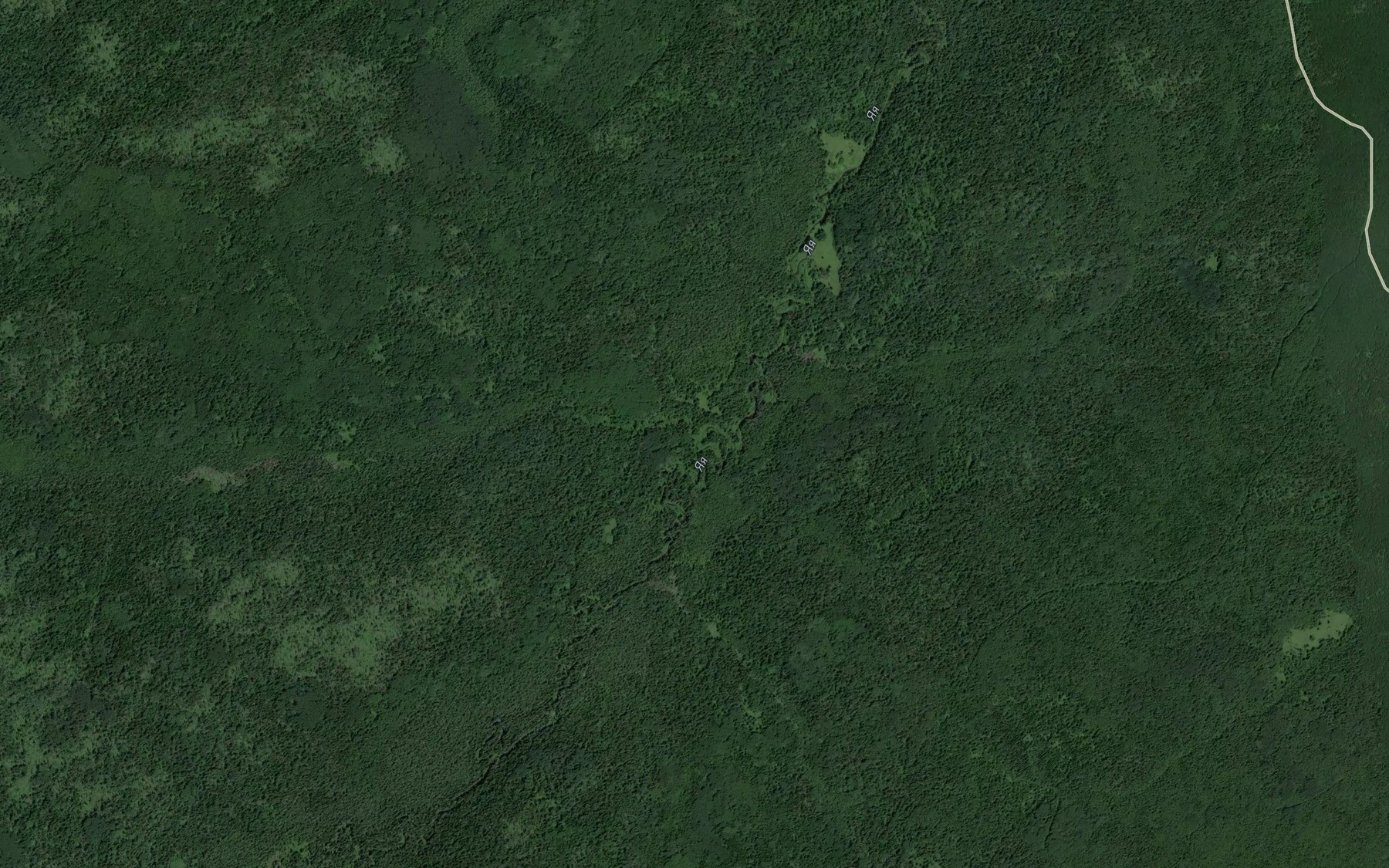 Satellite map of the Rastel'