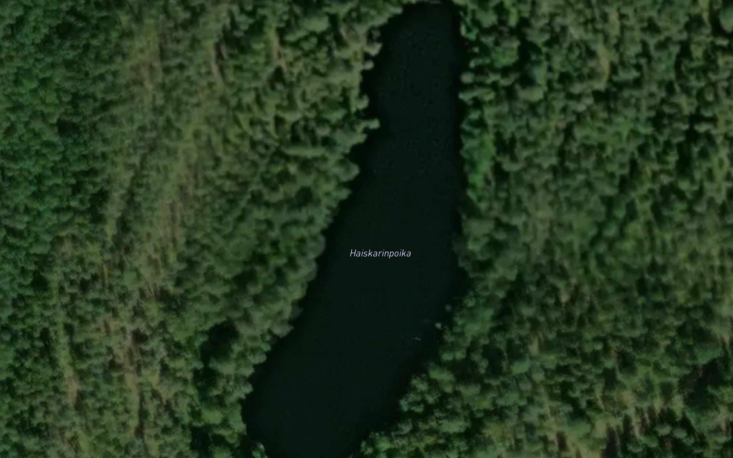 Haiskarinpoika