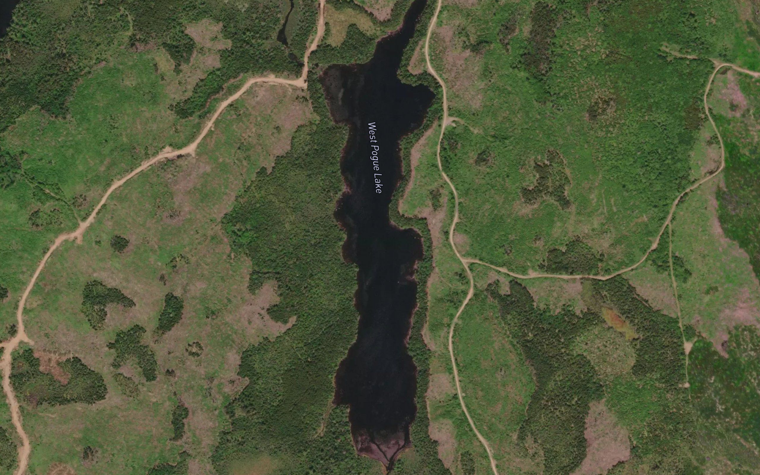 West Pogue Lake