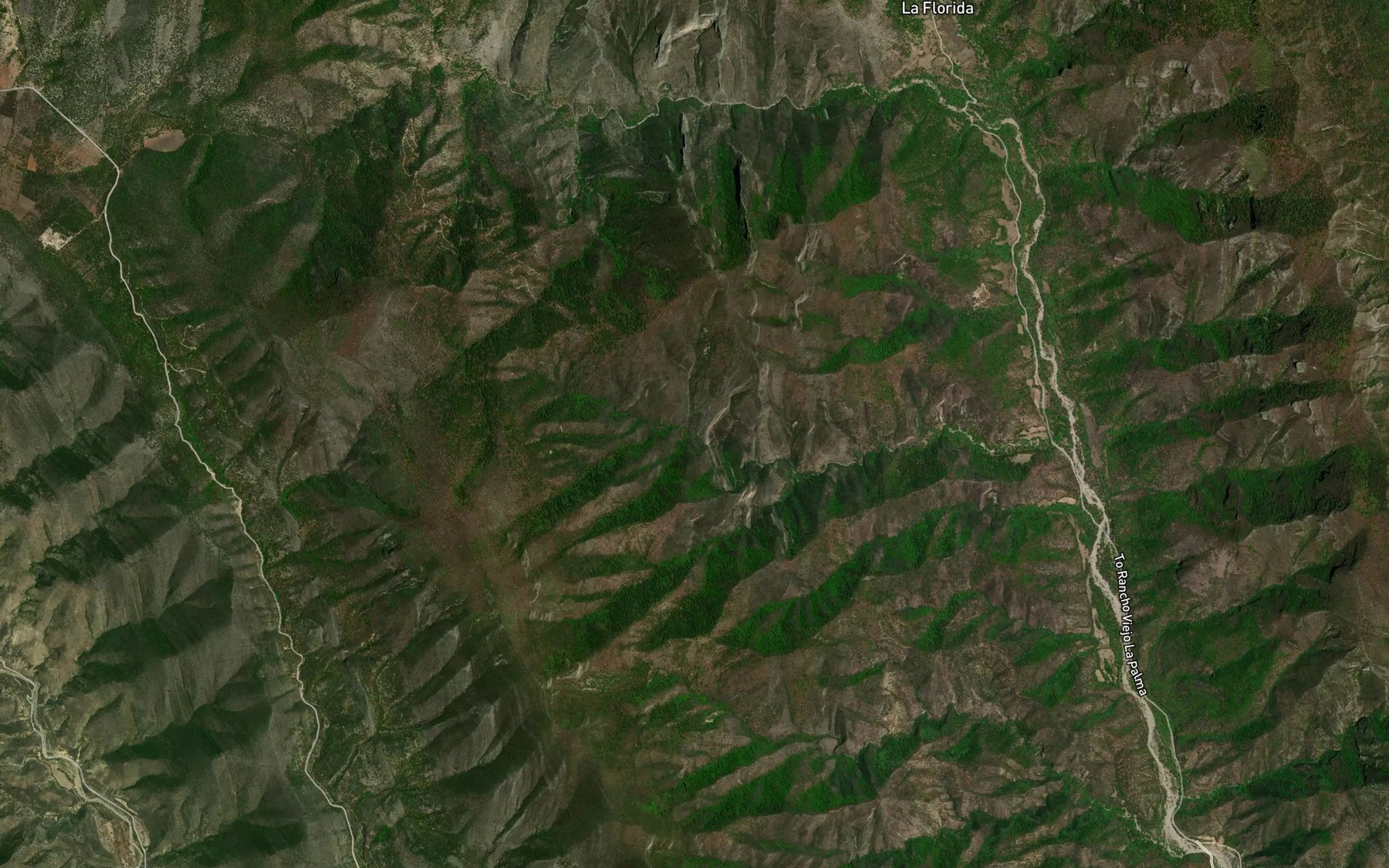 Satellite map of the Los Casquillos