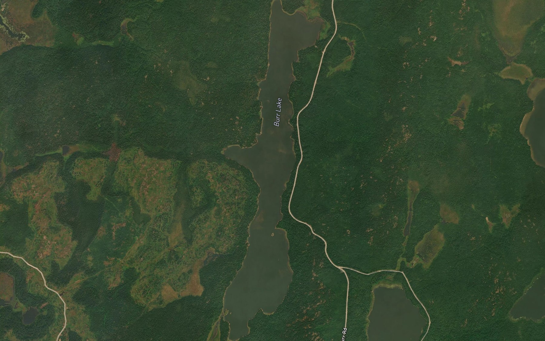 Satellite map of the Burr Lake