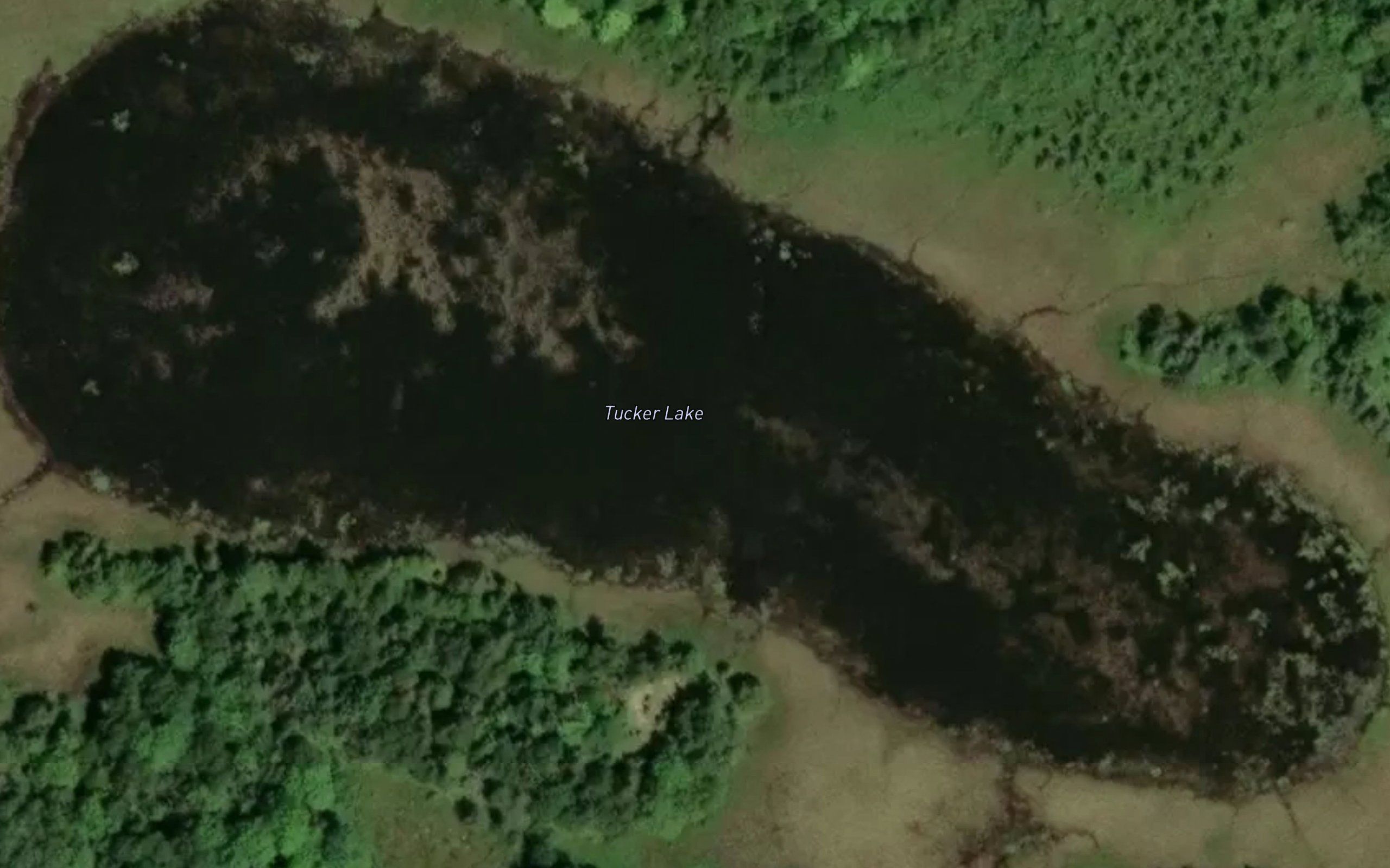 Tucker Lake