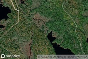 Bull Moose Brook