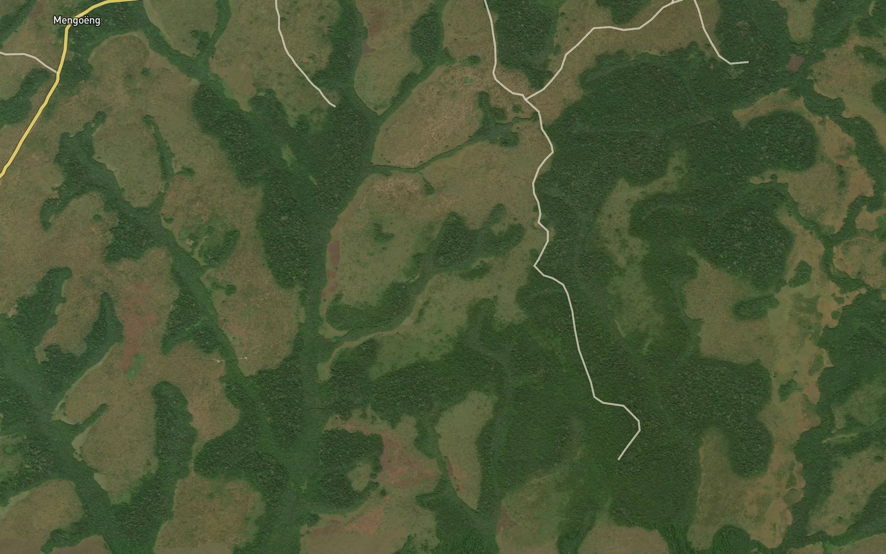 Satellite map of the Mangol