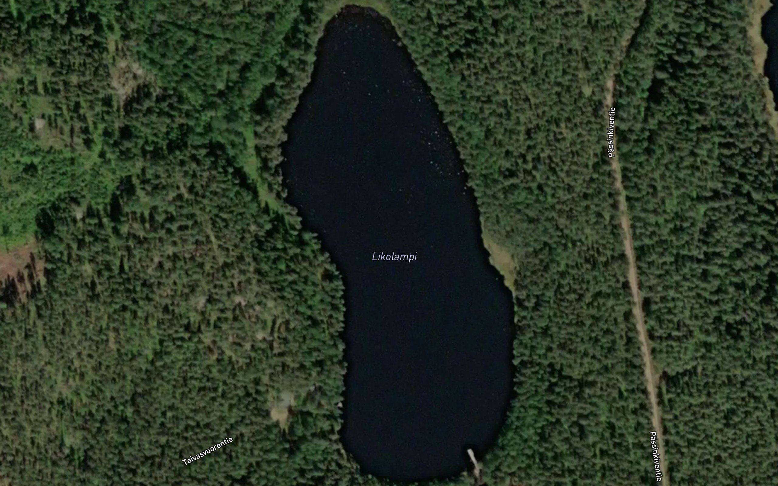 Likolampi
