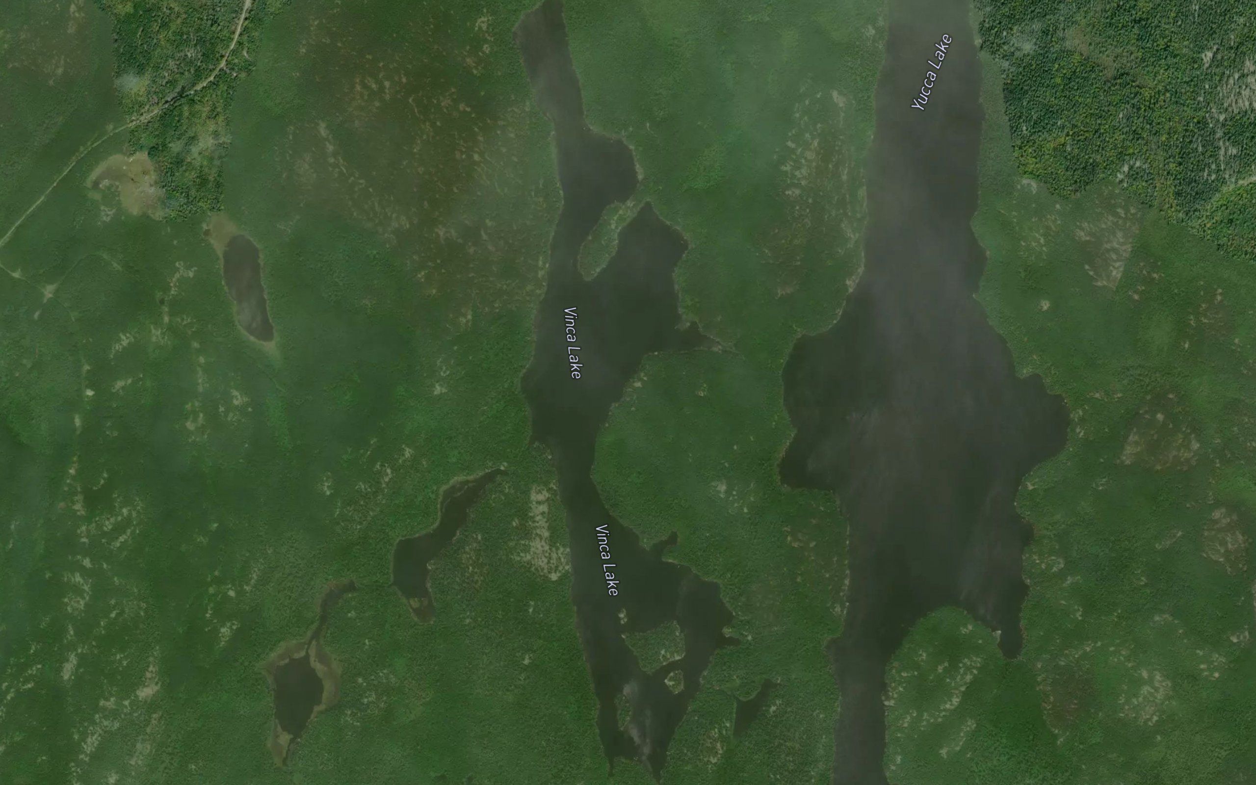 Vinca Lake