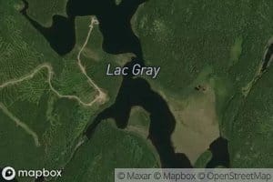 Lac Gray