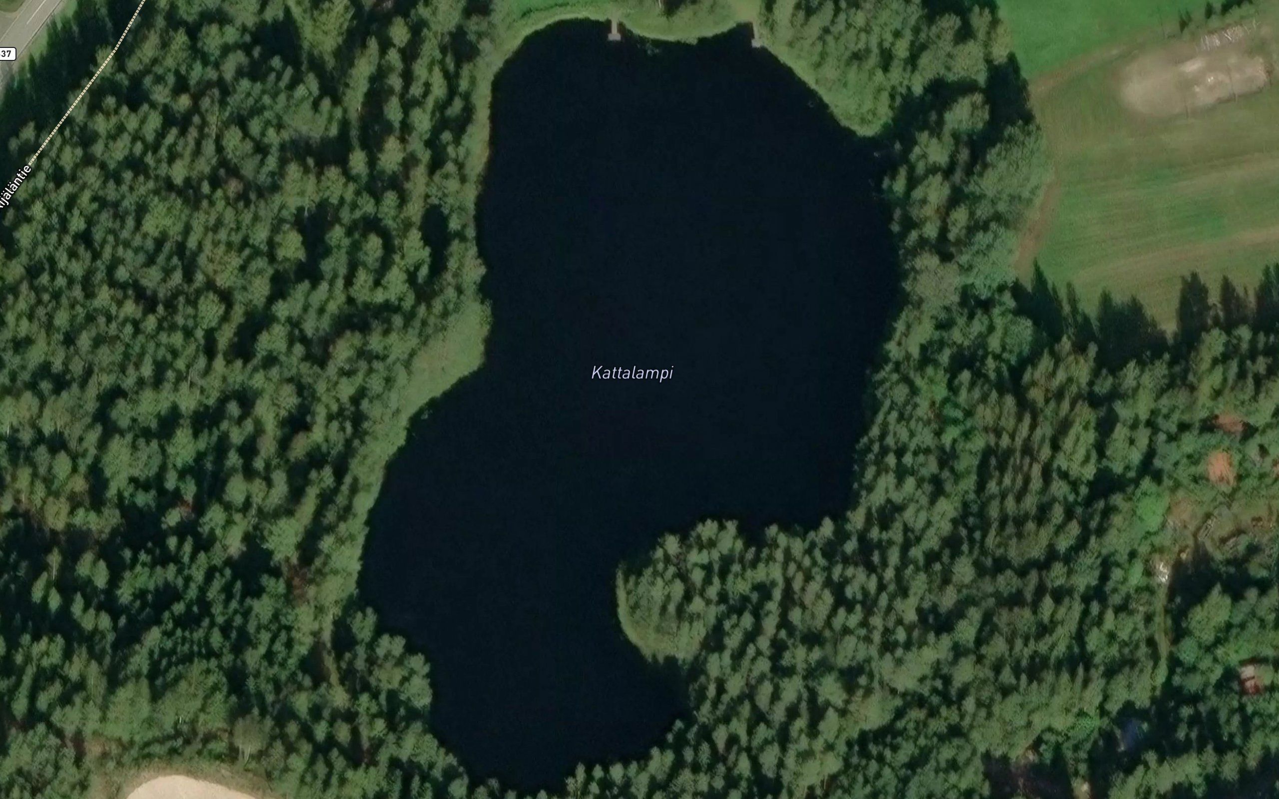 Kattalampi
