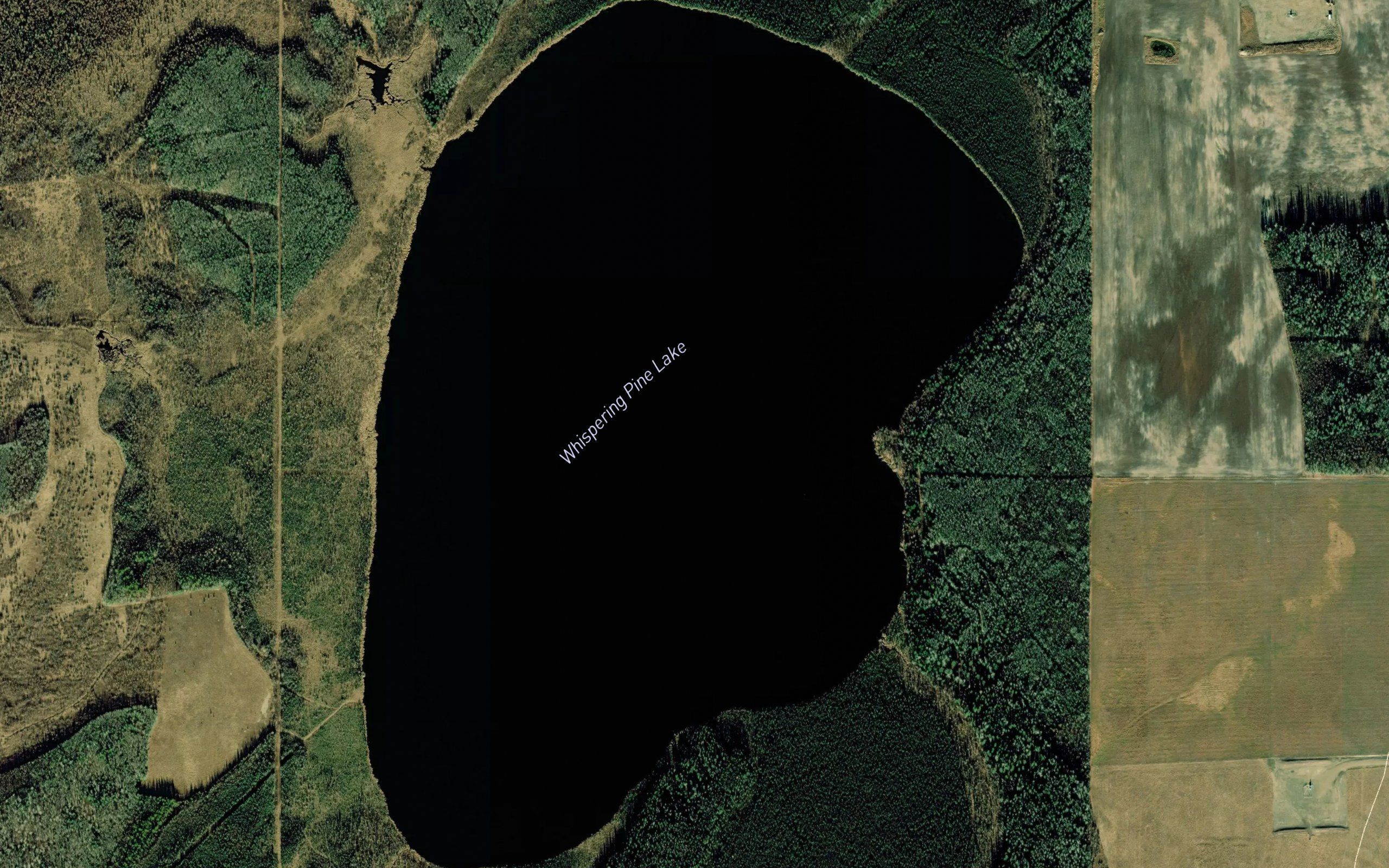 Whispering Pine Lake