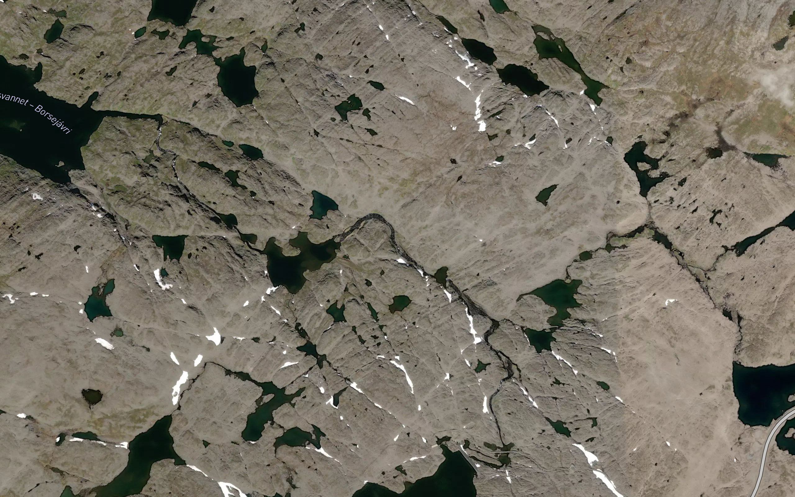 Sarvesjakka