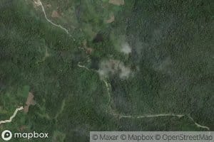Koro Njuya
