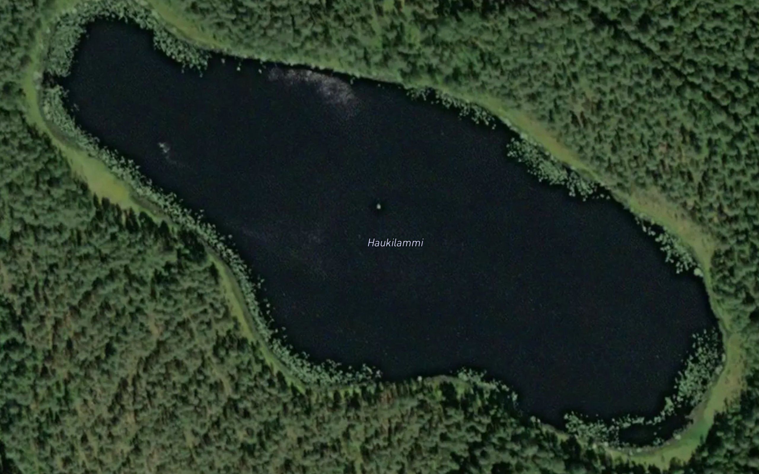 Haukilammi